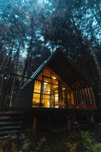 Cabaña pequeña en el bosque con ventanas grandes de cristal en Oculto refugio de bosque en Envigado