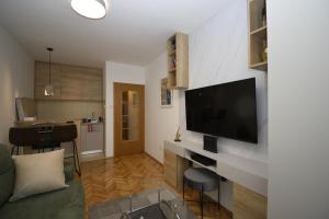 波德戈里察Studio apartment Art Zone的客厅墙上有一台平板电视