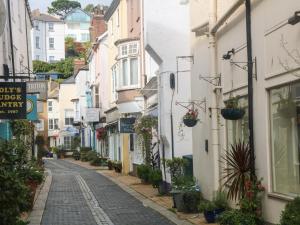an alley in the old town of hastings in england at The Mew in Dartmouth