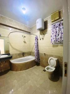 a bathroom with a tub and a toilet and a sink at Temple House Luxor in Luxor