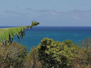 a tree branch with the ocean in the background at Villa Rose & F in Sainte-Anne