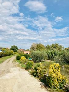 un chemin de terre avec des fleurs jaunes sur le côté dans l'établissement Villa Bubù, Appartamento Country-chic, à Rome