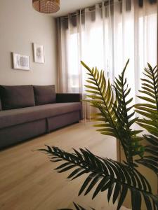 sala de estar con sofá y palmera en LA TERRAZA DE LA VEGA - Ubicación inmejorable , wifi , terraza y parking gratuito, en Oviedo
