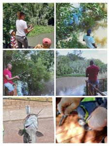 un collage de fotos de personas y un animal muerto en Shalom Place of Peace en Vasfontein