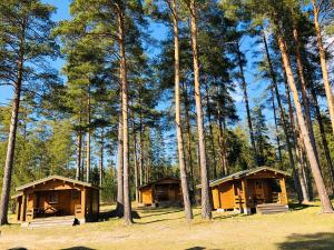 a couple of wooden huts in a forest with trees at Artur´s Eaterie and Holiday home in Viitna