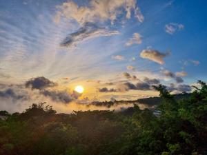 un coucher de soleil avec le soleil dans le ciel au-dessus des arbres dans l'établissement Hotel Ficus - Monteverde, à Monteverde Costa Rica