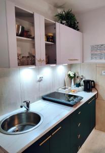 a kitchen with a sink and green cabinets at Apartments & rooms Saša in Podčetrtek