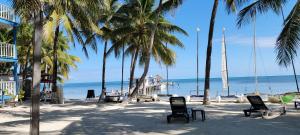 a beach with palm trees and chairs and a boat at Caribbean Villas Hotel in San Pedro