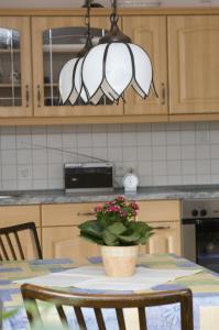 A kitchen or kitchenette at Hotel am Holzhafen