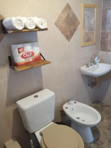 a bathroom with a toilet and a sink at Chaltén Apart 365 in El Chalten