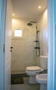 a bathroom with a shower and a toilet and a sink at V&P Apt in San Carlos de Bariloche