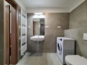 W łazience znajduje się pralka i umywalka. w obiekcie Cozy and modern apartment near Brno city center w mieście Husovice +13 zdjęć