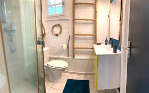 ein Bad mit einem WC, einem Waschbecken und einer Dusche in der Unterkunft LODGE PAMPLEMOUSSE avec PISCINE privative , dans parc calme à 500 m plage in Le Carbet