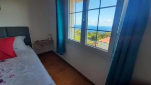 a bedroom with a bed and a window with blue curtains at Chambre vue sur mer entre Grande Anse et Manapany in Petite Île