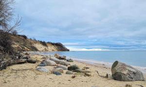 einen Strand mit Felsen auf dem Sand und dem Wasser in der Unterkunft Residenz Villa Eintracht in Göhren