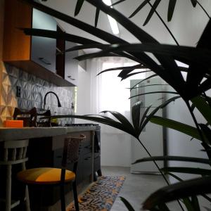 a kitchen with a potted plant next to a counter at Apartamento Dona Frida Prainha com WiFi pé na areia in Caraguatatuba