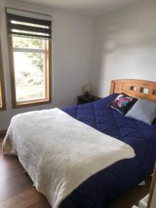 a bedroom with a bed with a blue comforter and a window at Departamentos Carrera Nro 1 in Punta Arenas