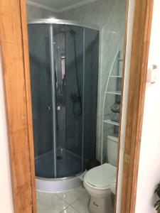 a bathroom with a shower and a toilet at Departamentos Carrera Nro 1 in Punta Arenas