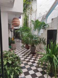 Gallery image of Apartamento Ciudad Amurallada 102B in Cartagena de Indias