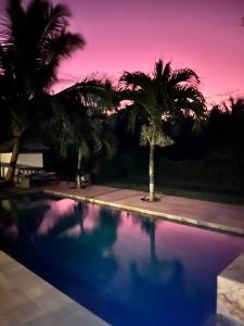 a swimming pool with palm trees and a purple sky at Bora Bora Fare Sophia in Bora Bora