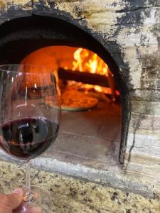 una persona sosteniendo una copa de vino frente a un horno de pizza en Aconchegante casa com piscina e lazer completo, en Teresópolis