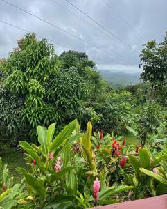 Gallery image of Montete Cottages in Choiseul