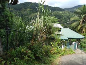 una casa con techo verde y algunas plantas en RIVERVIEW Guest en Kandy