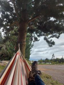 Paisaje cerca de este hostal o pensión