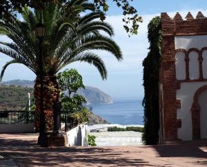 a palm tree on a building with a view of the ocean at Apartamentos Balcón de Maro in Maro