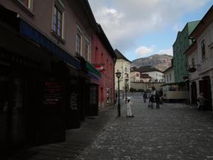 Afbeelding uit fotogalerij van Apartments and Suites Kremnica in Kremnica