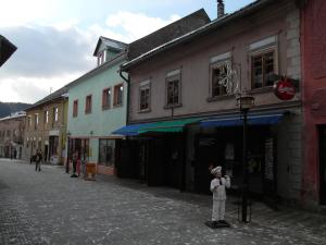 Hostia v ubytovaní Apartments and Suites Kremnica