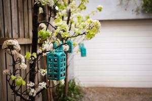 a blue bird feeder hanging from a tree with flowers at Sailaway Beach House in Seaford