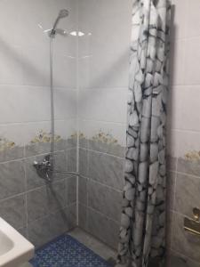 希瓦的住宿－Hotel Allanazar Ota，浴室内配有淋浴帘。