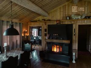 โทรทัศน์และ/หรือระบบความบันเทิงของ Grand cabin on Nesfjellet Alpin with ski in out