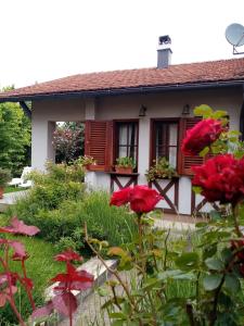 uma casa com flores vermelhas em frente em NIKOLIJA 1 em Bajina Bašta
