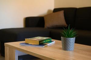 A seating area at Ileana -Marina studio 2
