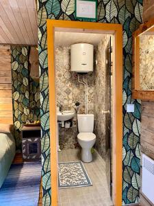 a bathroom with a toilet and a sink at Ennu’s hut in Loksa