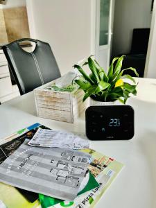 Eine Uhr steht auf einem Schreibtisch mit einer Pflanze. in der Unterkunft Silver House Rasnov in Râșnov + 21 Fotos