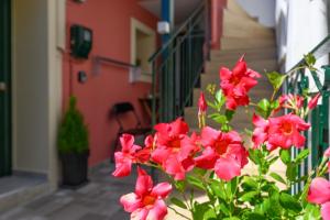 The building in which Az apartmant is located Még 4 kép