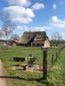 una casa con techo de paja y mesa de picnic delante en Een mooie plek en Markelo