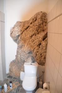 een badkamer met een rots aan de muur naast een toilet bij The Stonehouse in Stemnitsa