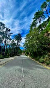 an empty road with trees on either side of it at Hotel Les Pavillons Du Golfe in Favone