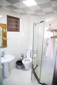 a bathroom with a toilet and a sink at Hotel Cristal Madagascar in Antananarivo