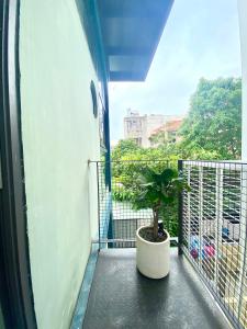 una maceta sentada en un balcón con ventana en Arista 2, en Ho Chi Minh