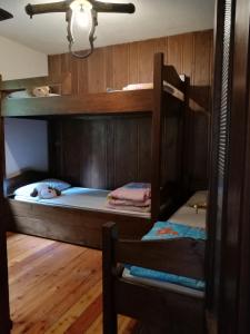 two bunk beds in a room with wooden walls at Cogne come una volta in Cogne