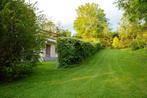 Zahrada ubytování Charming villa in Alvignano with private pool