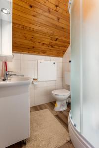 ein Bad mit einem Waschbecken und einem WC in der Unterkunft Studio apartman Vidikovac in Pregrada