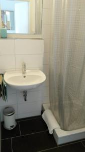 La salle de bains est pourvue d'un lavabo et d'un rideau de douche. dans l'établissement Business Apartments Heilbronn, à Heilbronn