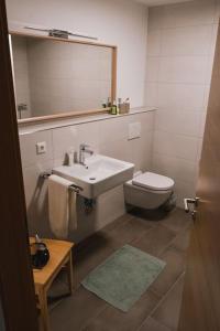 La salle de bains est pourvue d'un lavabo, de toilettes et d'un miroir. dans l'établissement Apartment Luise - direkt an der Skipiste - mit Sauna, à Feldberg