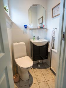 a bathroom with a toilet and a sink at Marna Guesthause doubleroom nr.1 in Tórshavn